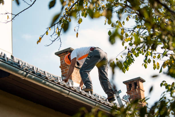 Best Residential Roofing Contractor  in Algonquin, IL